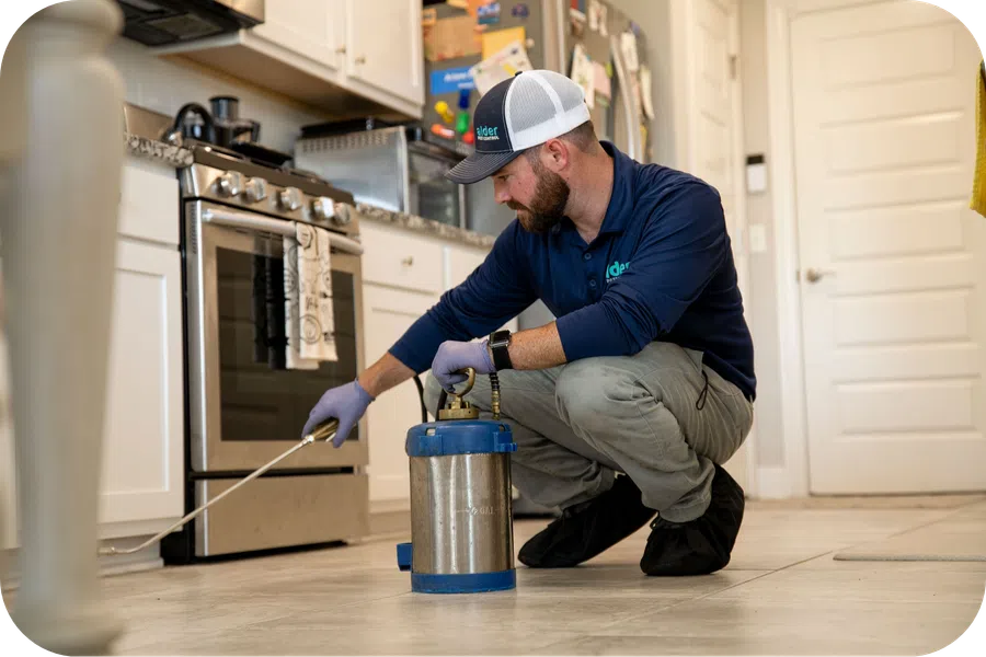 Pest control technician sprays treatment along floor edge in modern kitchen with gloves and uniform.