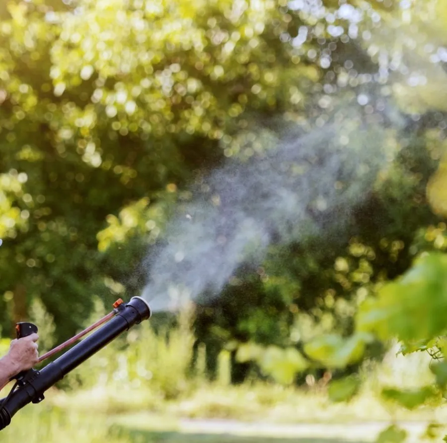 Person using a backpack blower for landscaping in a sunlit vineyard pathway.