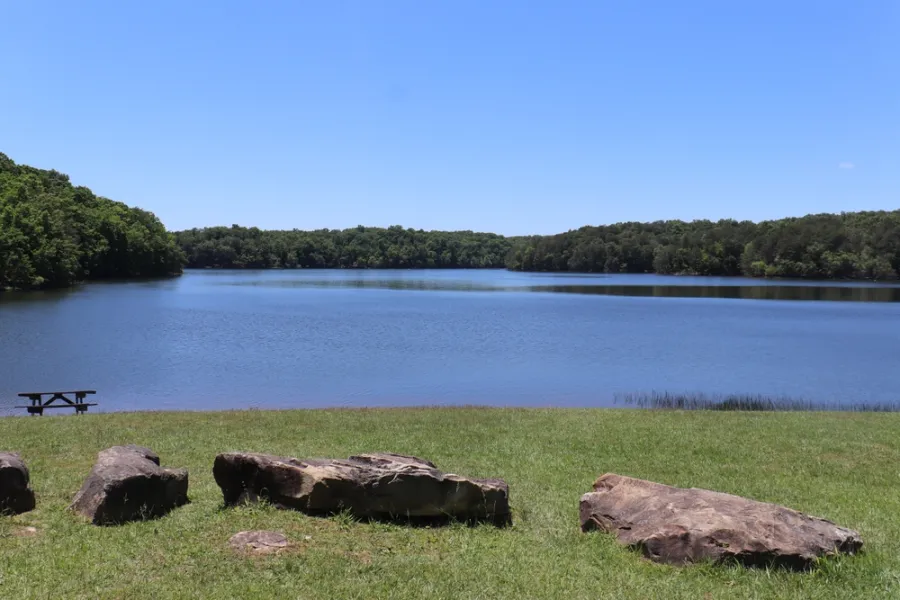 Peaceful lake surrounded by trees with grassy shore, large rocks, and a picnic table under blue sky.