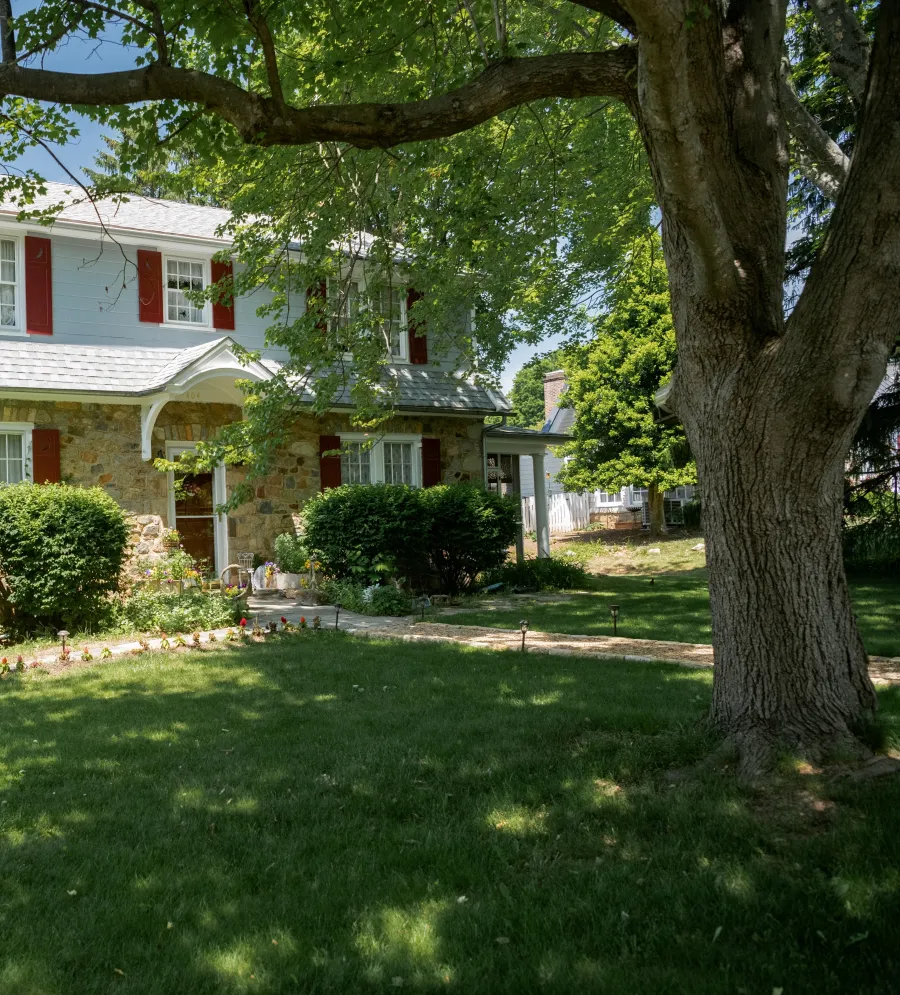 a tree in front of a house