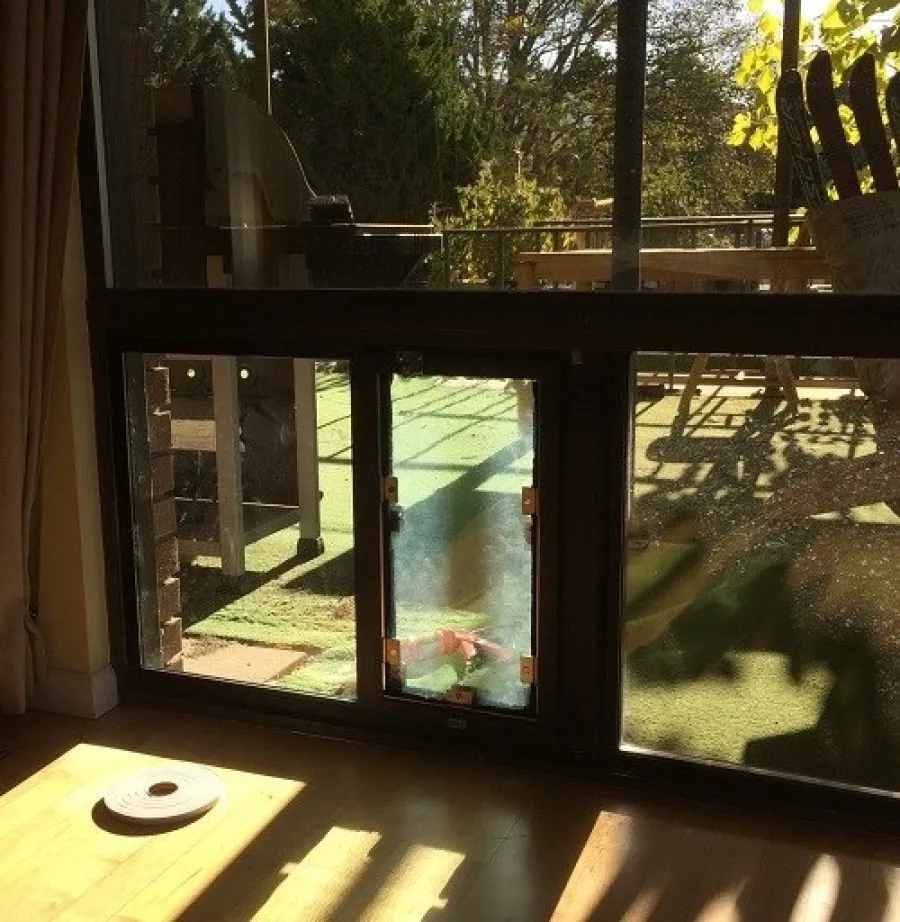 a glass door with a view of trees and a body of water