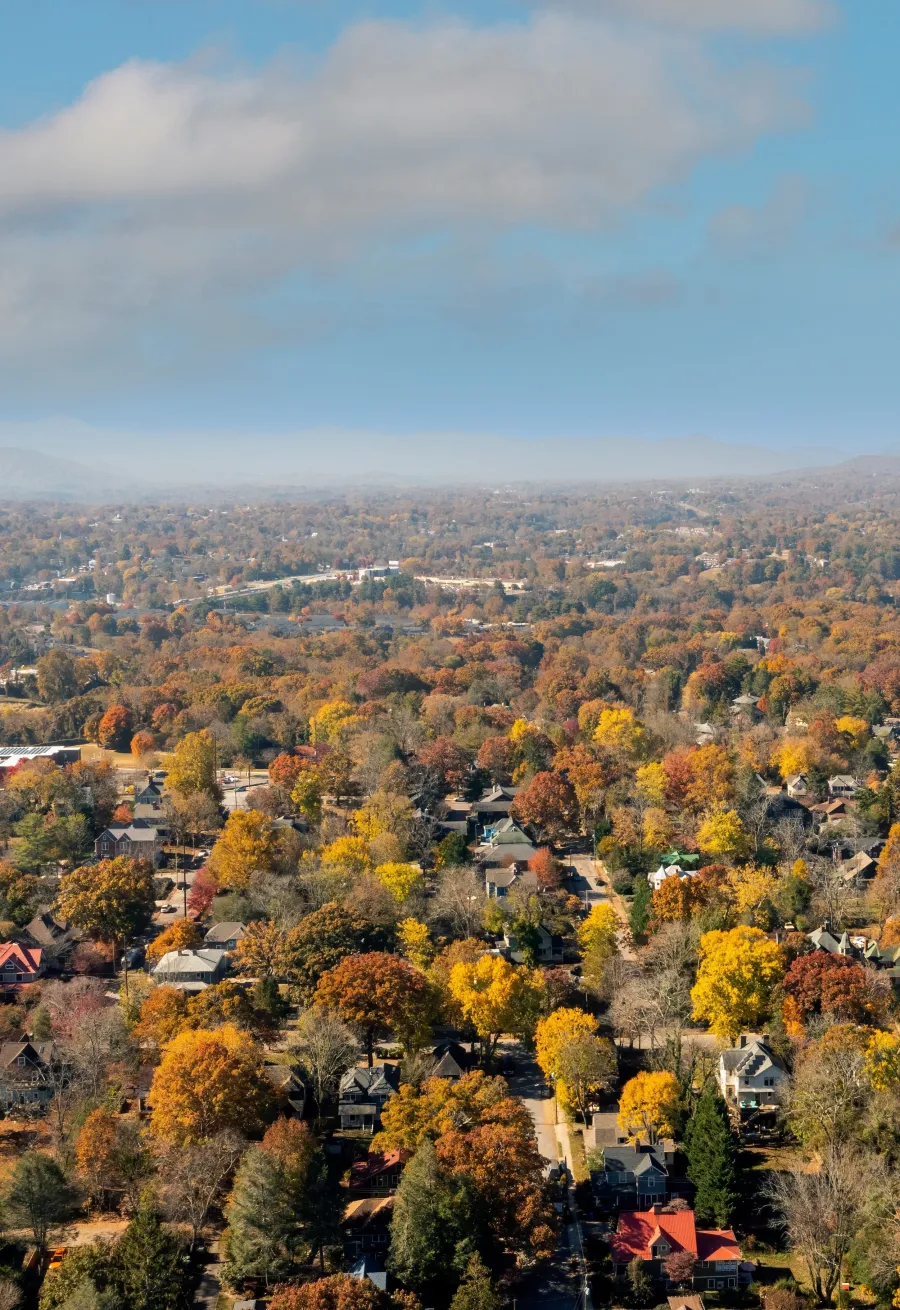 a landscape with trees and houses