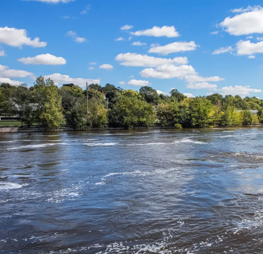 a body of water with trees around it