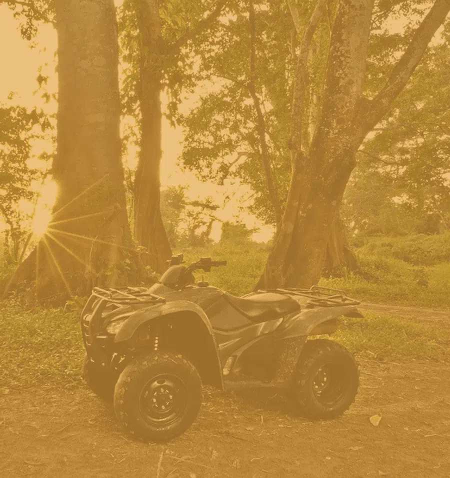 All-terrain vehicle parked on a dirt path in a forest with sunlight filtering through trees.