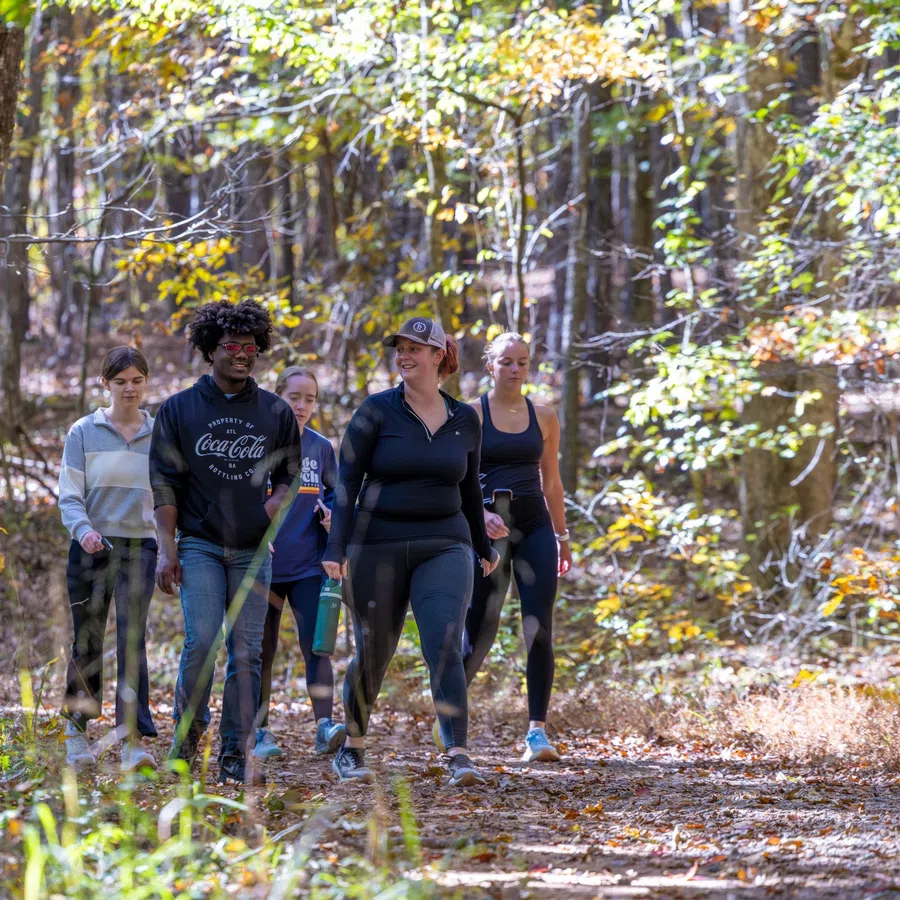 Group of five diverse friends walking on a wooded trail with autumn leaves under bright sunlight.