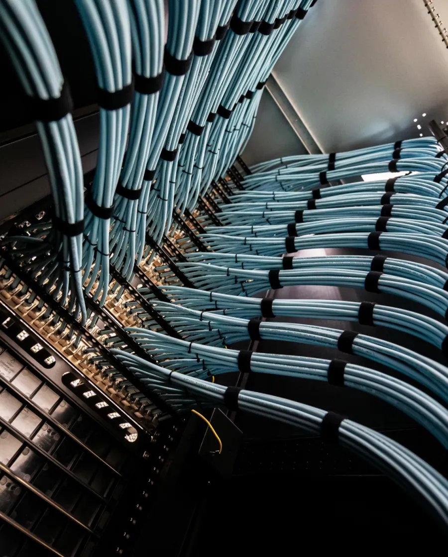 Organized blue network cables neatly routed and secured inside a server rack for data management.