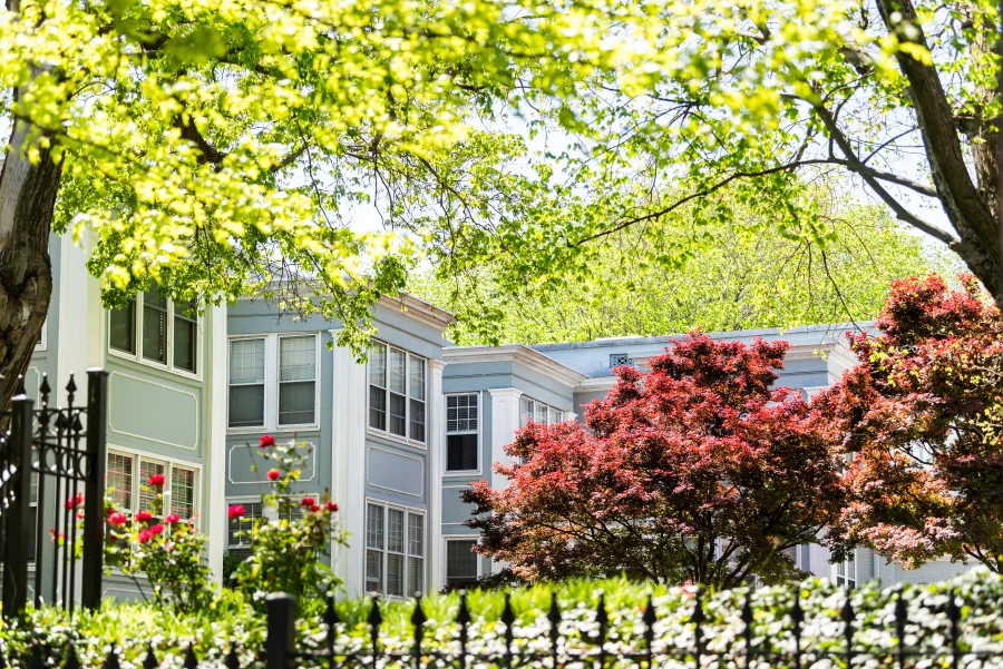 a house with trees in front of it