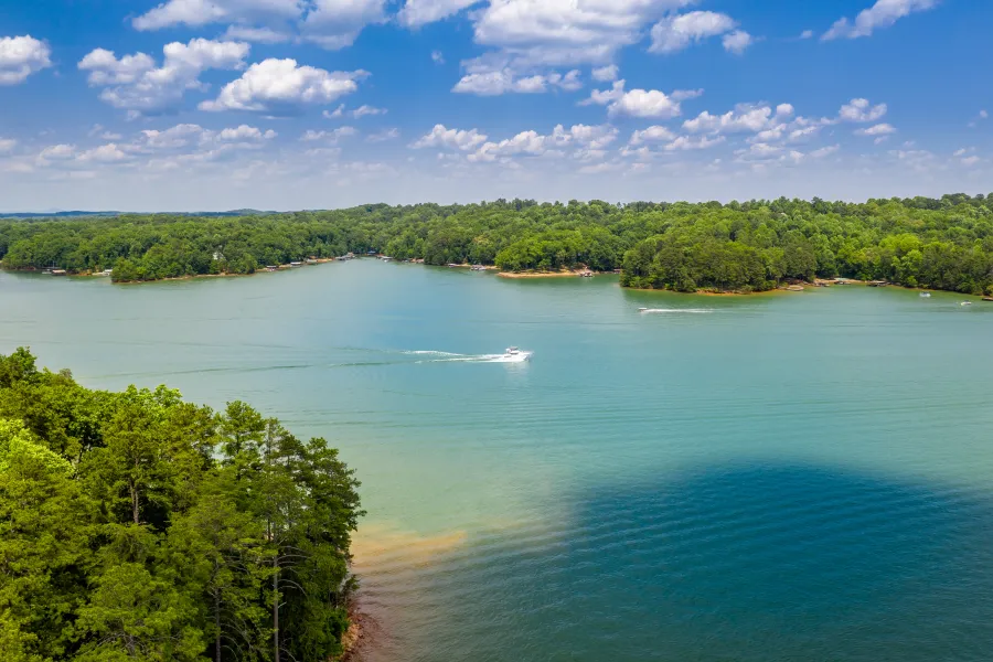 a body of water with trees around it