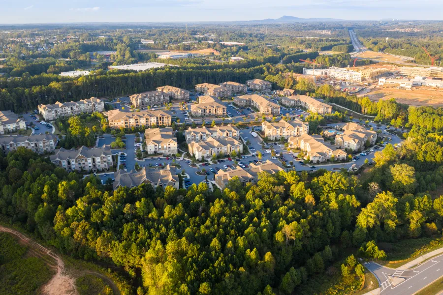 a city with many trees