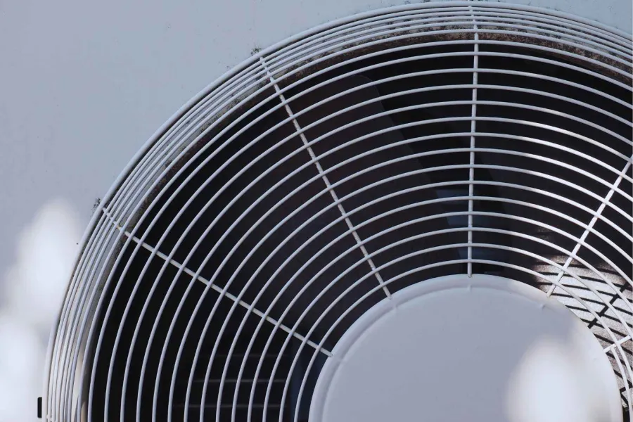 a few people looking at a book