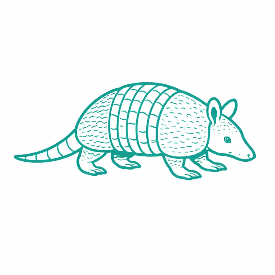 Illustration of a detailed armadillo with segmented armored back and textured body in teal color.