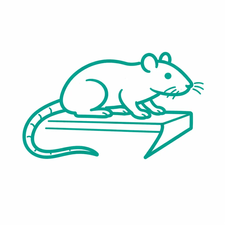 Simple teal line drawing of a mouse sitting on a wedge-shaped piece of cheese with whiskers visible.
