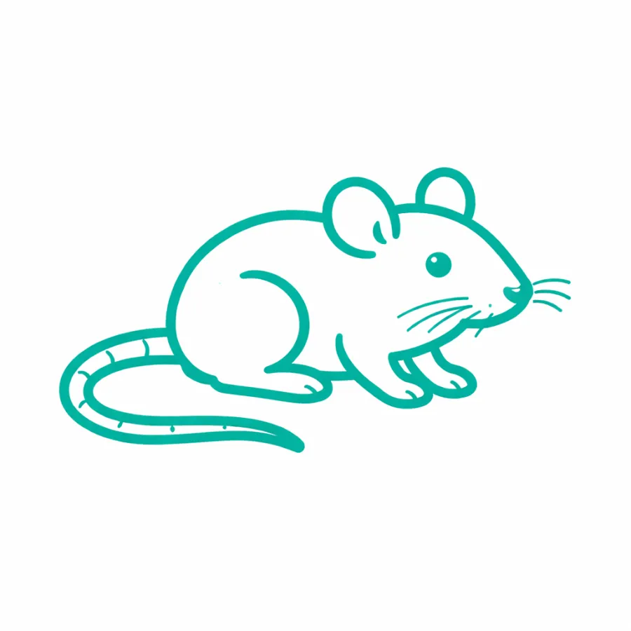 Simple teal line drawing of a mouse with long tail, ears, and whiskers on white background
