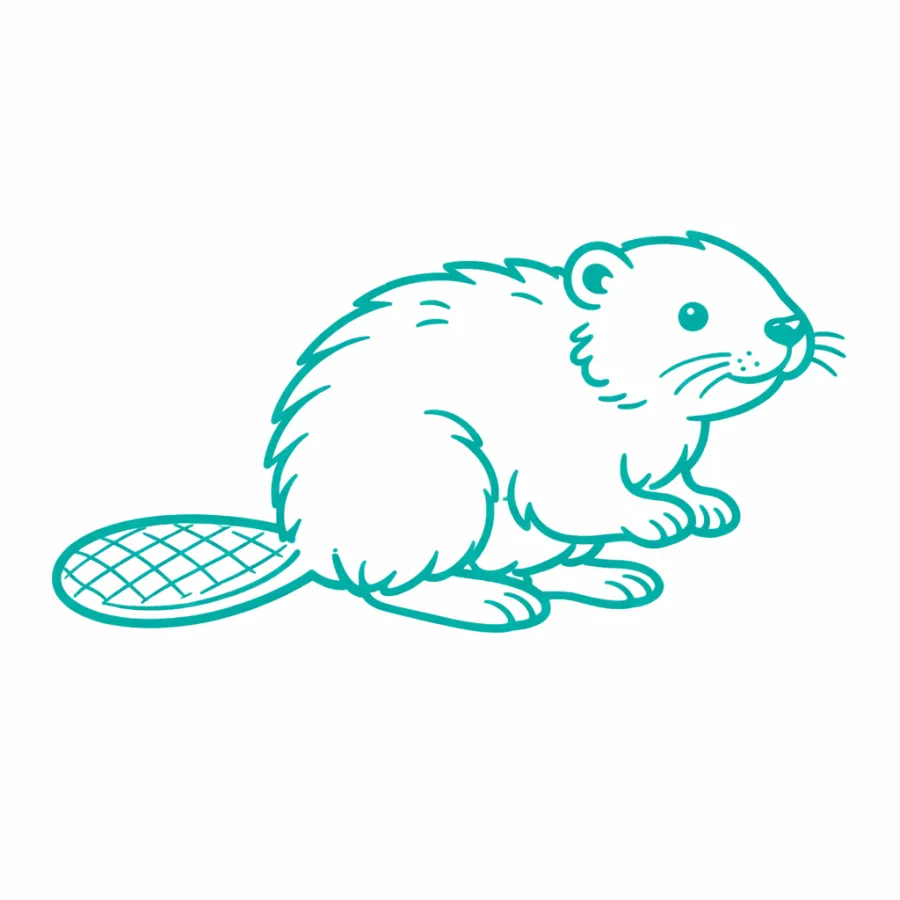 Simple teal line drawing of a beaver with a flat tail and detailed face on a white background