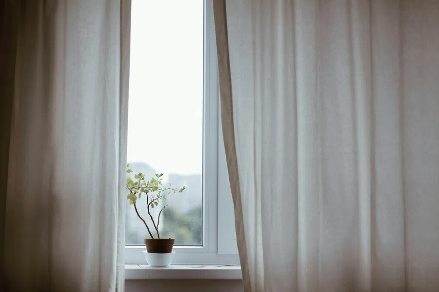 Small potted plant on white windowsill framed by beige curtains with bright outdoor light.