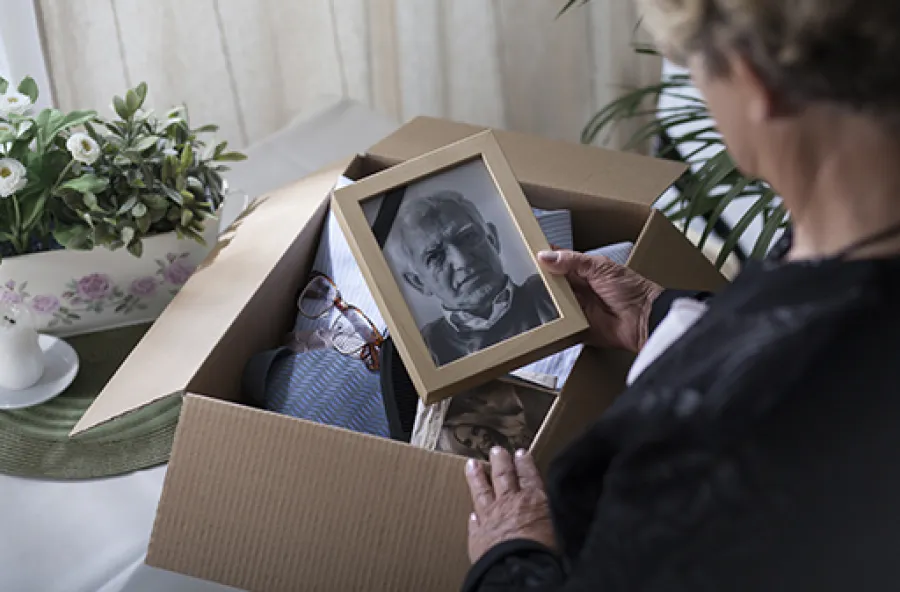 a person holding a plant