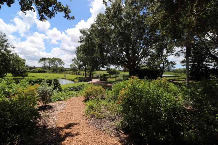 a garden with trees and bushes