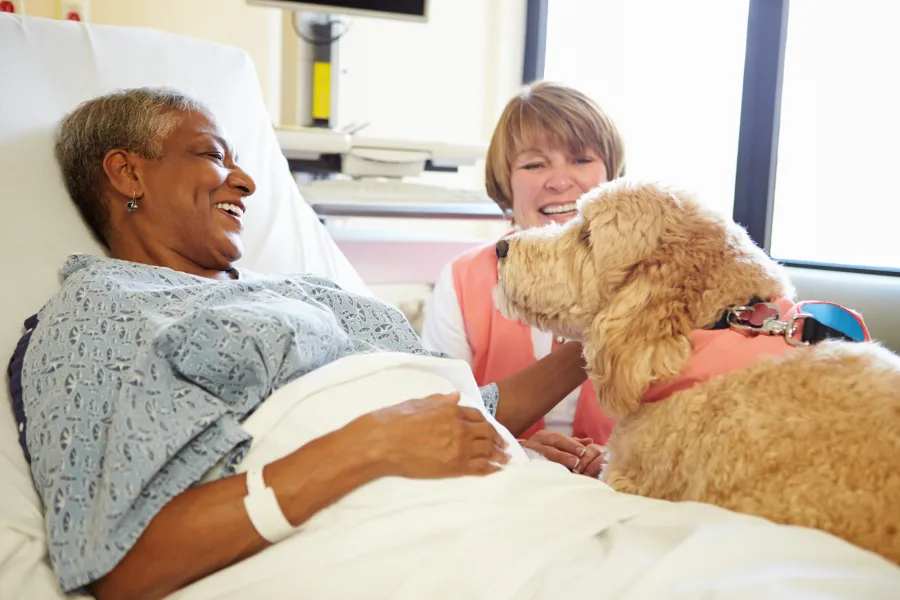 a person and a dog on a bed