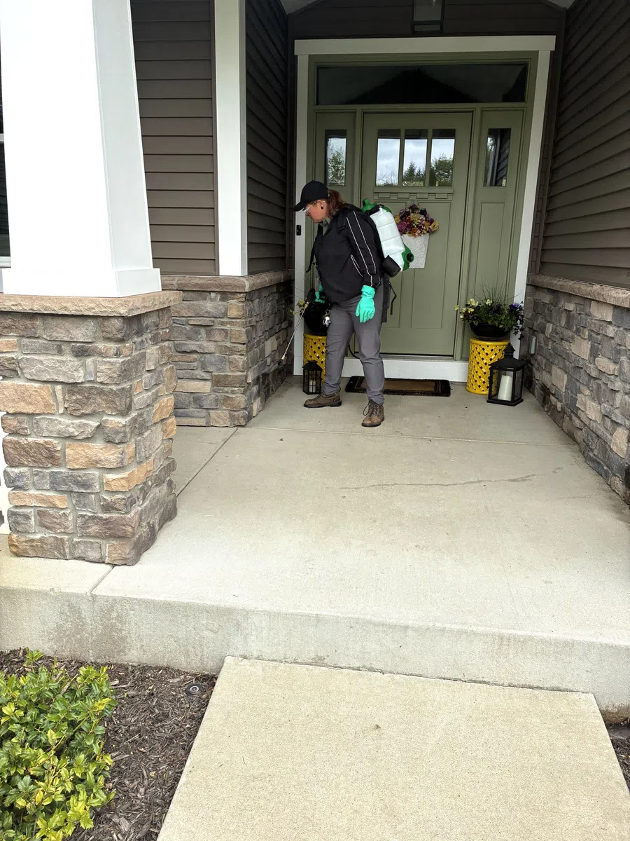 Person wearing gloves and backpack sprayer applying treatment on a house front porch with stone walls.