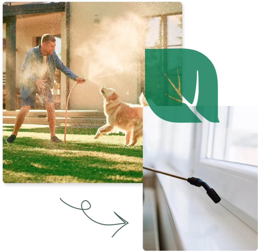 Man playing with golden retriever dog spraying water from hose in sunlit backyard.