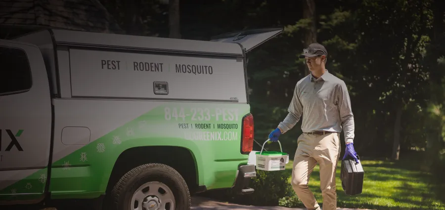 A person applying pest control treatment to garden plants to eliminate cockroaches.
