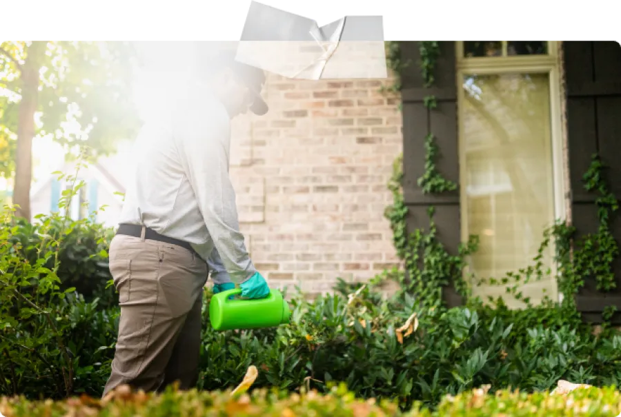 a technician treating a yard for pests