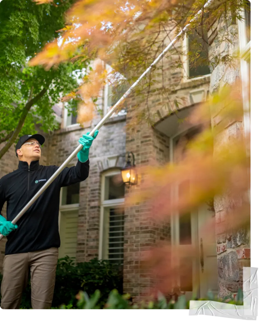 Pest Technician eave sweeping