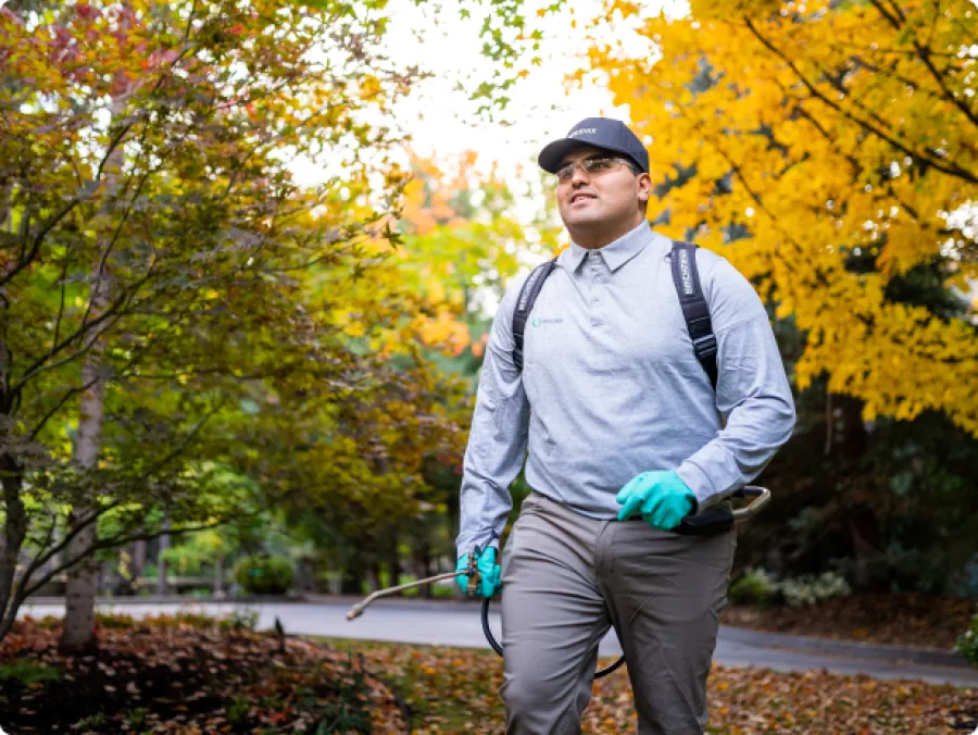 a technician spraying pests outdoors