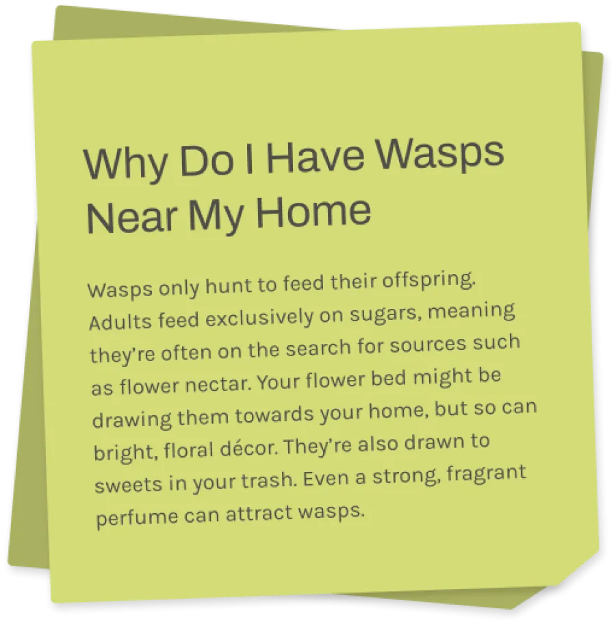 a sticky note with information about wasps