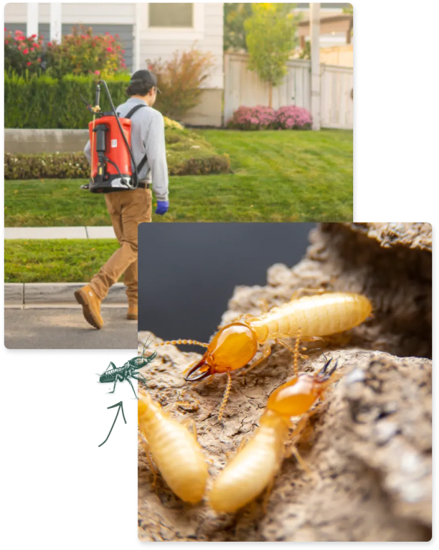 a person walking next to a pile of mushrooms