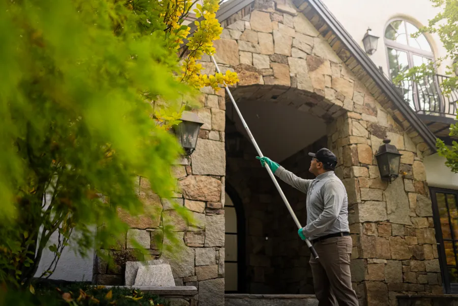 Man trimming yellow flowering branches outside a stone house using a long pole pruner on a sunny day
