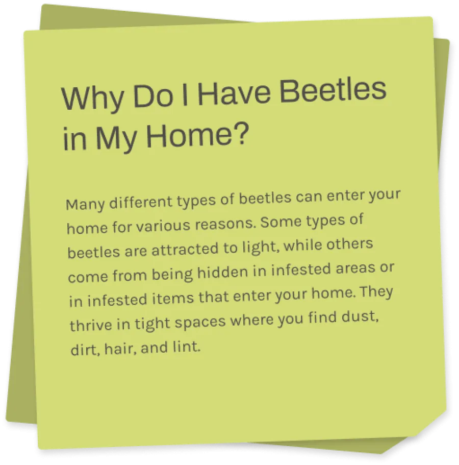 a sticky note with information about beetles