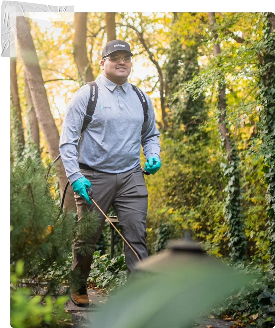 a man walking through a forest