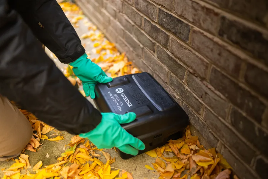 Person with green gloves placing a black Greenix pest control box near a brick wall covered with autumn leaves