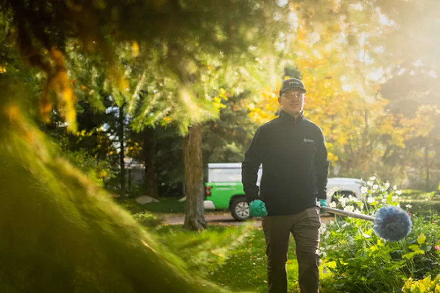 Gardener walking in a sunlit garden holding a blue fluffy duster with greenery and truck in background
