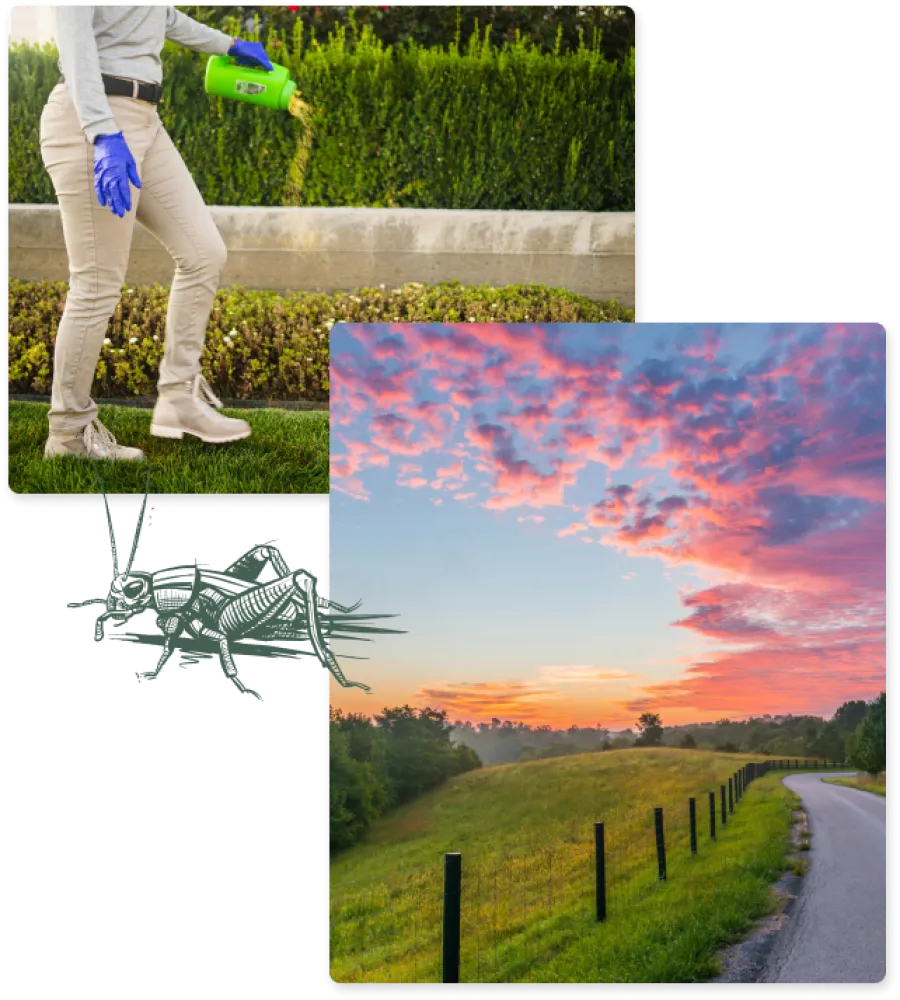 a collage of a person watering a field