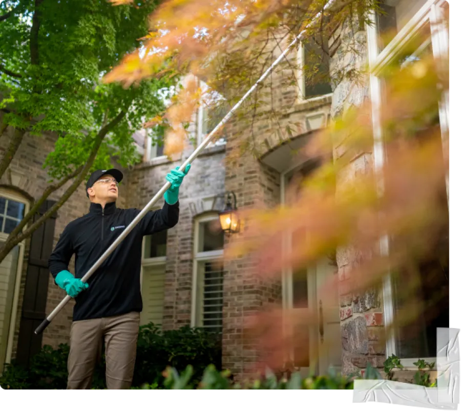 Pest Technician eave sweeping