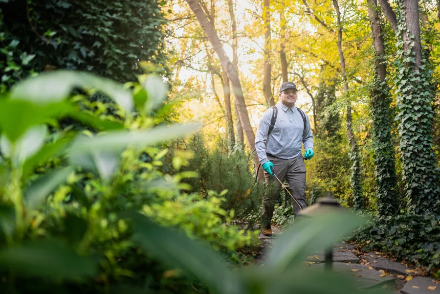 Gardener wearing gloves and carrying tools walking through a sunlit lush garden path surrounded by greenery