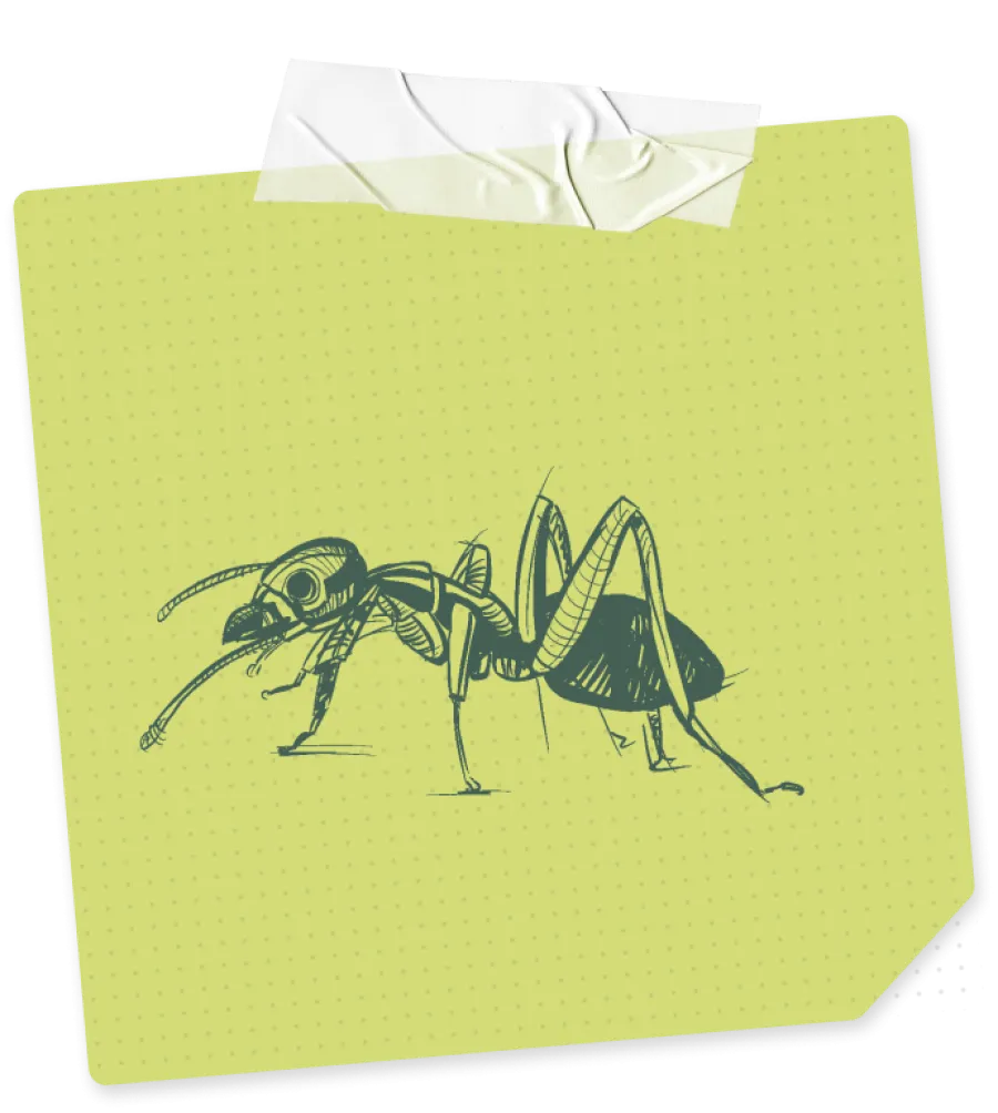 Hand-drawn detailed sketch of an ant on a green sticky note with white tape at the top.