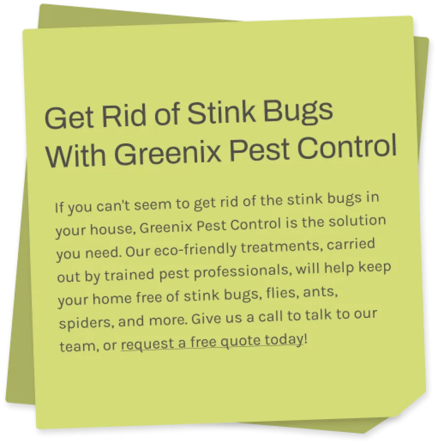 a sticky note with information about stink bugs