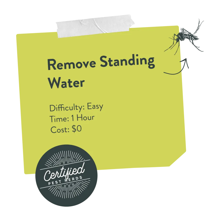 Note about removing standing water to prevent pests, featuring a mosquito graphic and logo.
