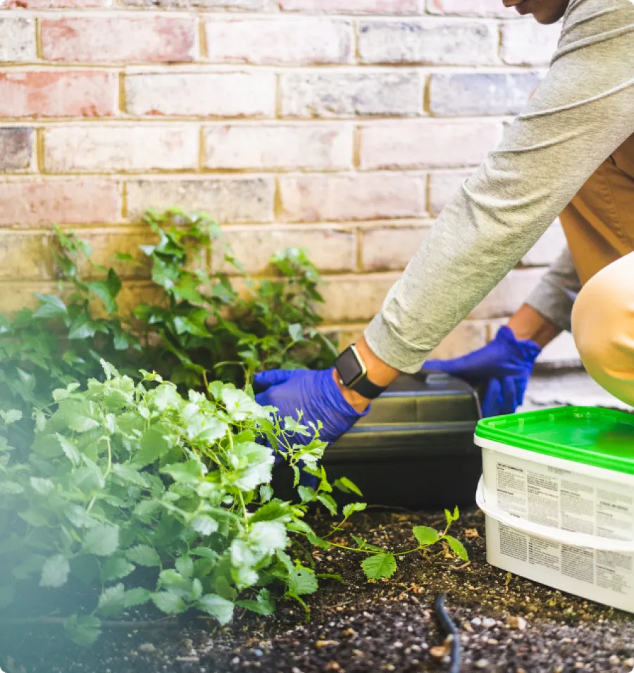Person wearing blue gloves tending green plants in a garden bed next to a brick wall and gardening supplies.