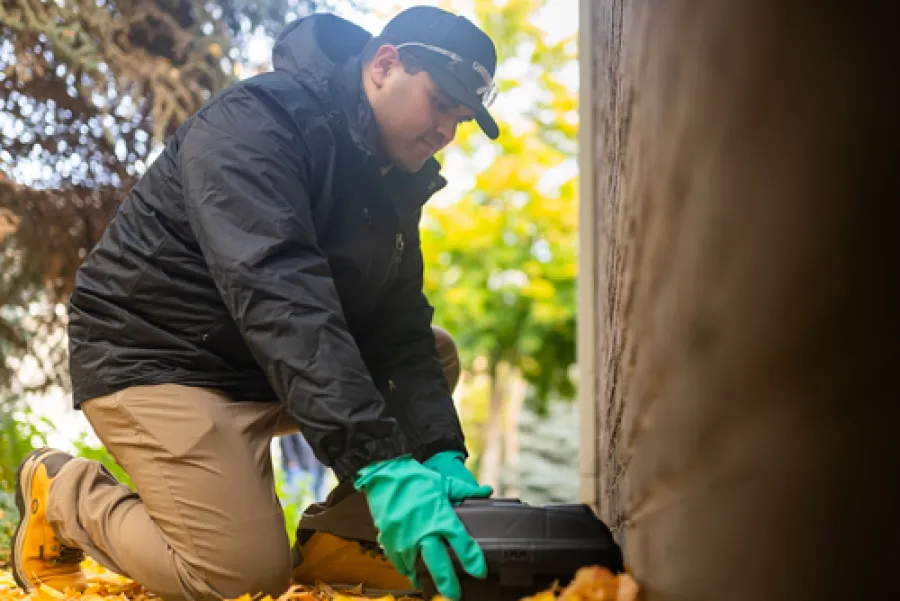 Person wearing green gloves placing a black box near a brick wall outdoors in autumn