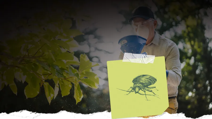 Man wearing protective gear applies insecticide outdoors to control pests and bugs in garden or yard.