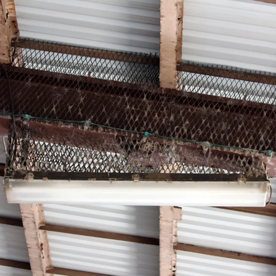 Old fluorescent light fixture hanging from a metal mesh frame under a wooden and metal roof structure.