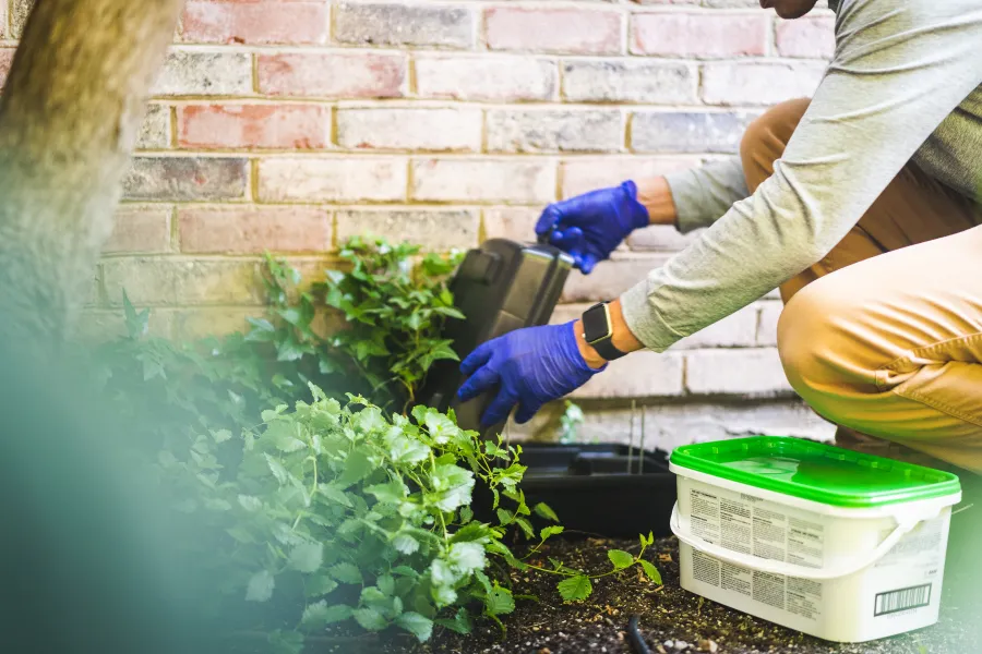 Person wearing gloves planting a black container near green plants against a brick wall in a garden.