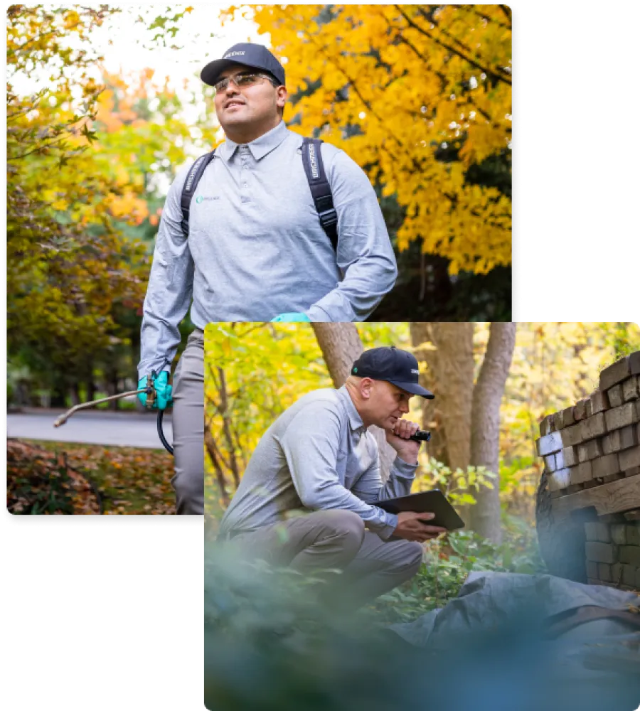 Pest Technician inspecting a home