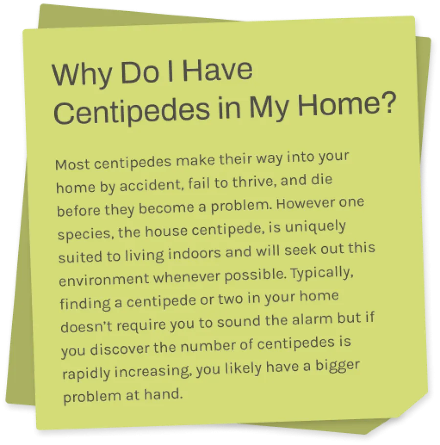 a sticky note with information about centipedes