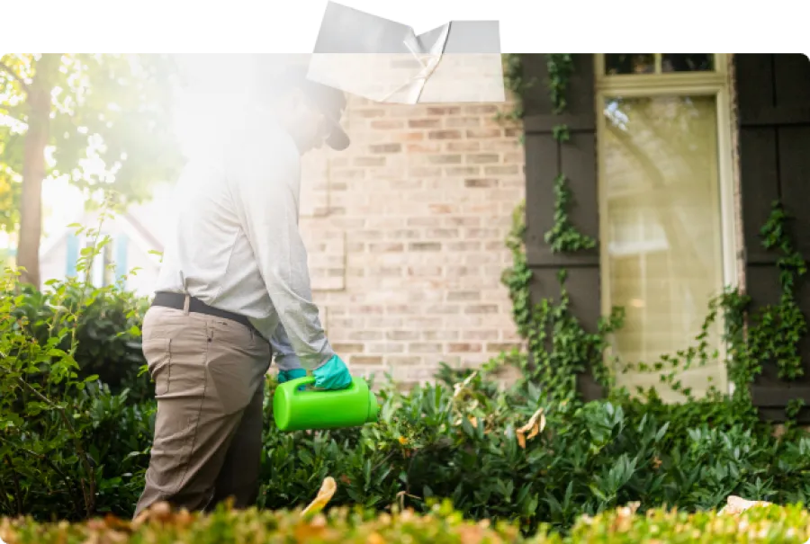 Man wearing gloves applying chemicals to plants outside a home with brick wall and window in background
