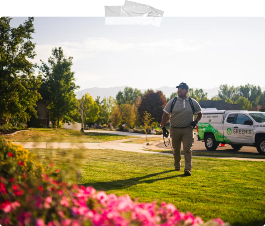 Pest control worker walking on green lawn with sprayer, company truck in background, residential neighborhood setting.